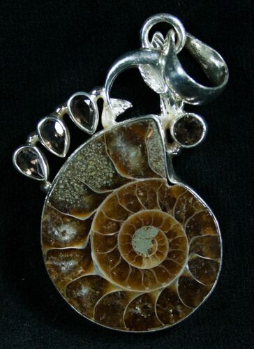 Fossil Ammonite Pendant - Sterling Silver #8269